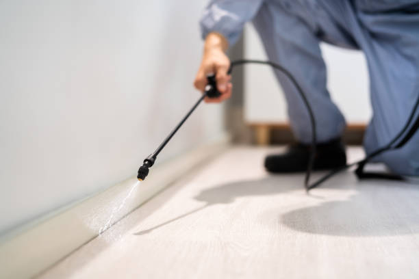 Licensed Cockroach Control service in Sunflower, MS - Nex Pest Control