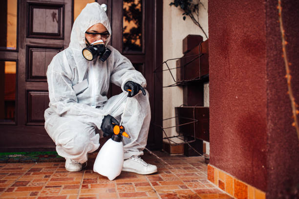 Reliable Cockroach Control contractor in Sunflower, MS by Nex Pest Control