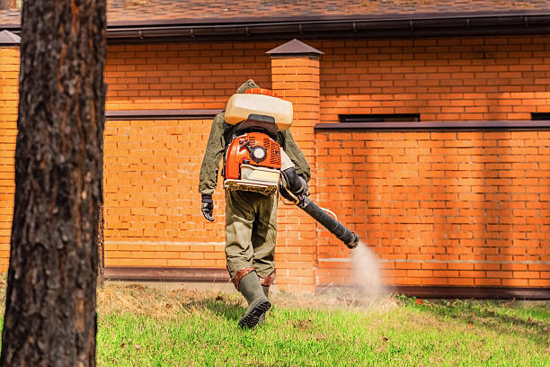 Top rated local Cockroach Control specialists in Sunflower, MS